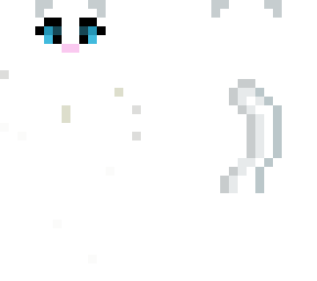 cute white cat