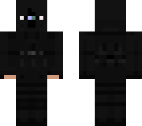 ninja skin