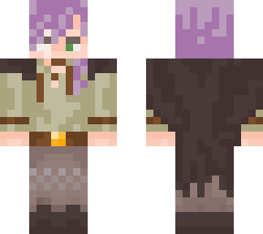 robin - chronicles smp skin