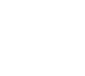 skeppy shine template