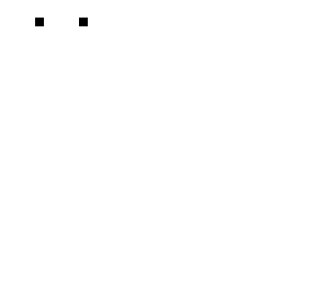 the skeleton
