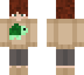 turtle sweater (4px)