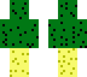 cactus on sand