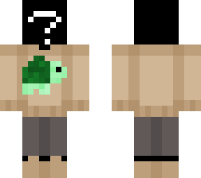enigma turtle sweater