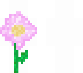 pink flower