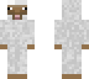 sheep