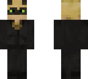cat noir