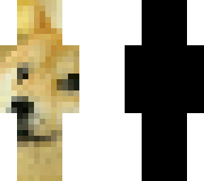 doge dram