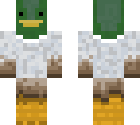 duck