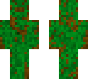 jungle spider