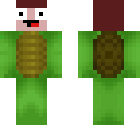 turtle noob