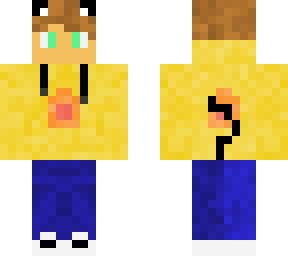 yellow boy as a cat