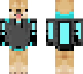 doge in a black gray and cyan hoodie
