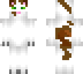 tomi the cat