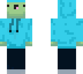 turtle with clothes