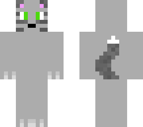cat, for the kitty cat