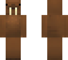 cute walrus