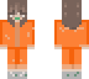 my prison arc skin