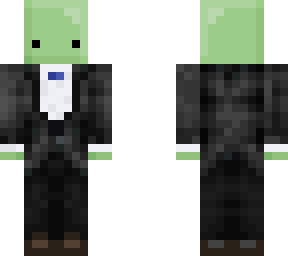turtle dude