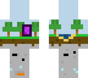 the minecraft world