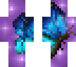 aurora butterfly