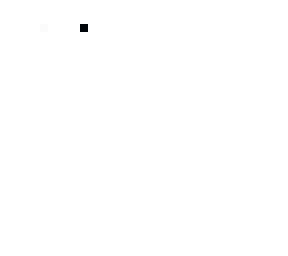 blank