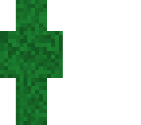 camo skin