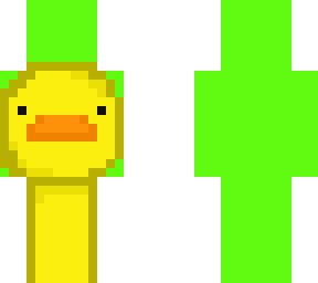 duck dream