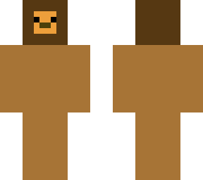 a lion