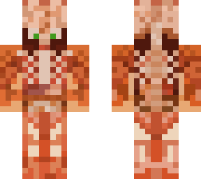 anatomy model