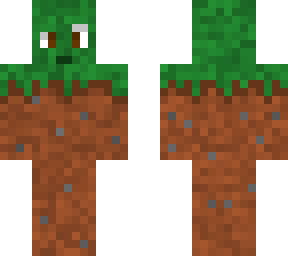 dirt block skin