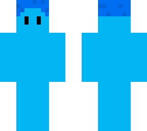 skin for echoiswhat
