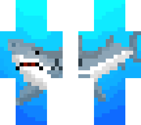 a shark