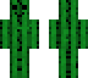 happy cactus