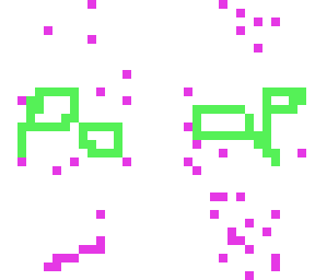 poop