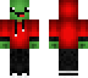 turtle with hoodie