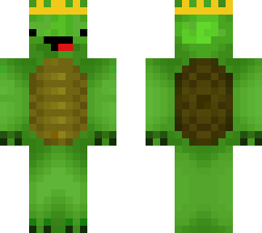 turtlemaster