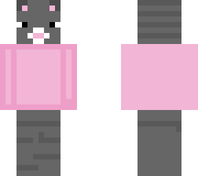 cat in hoodie