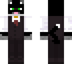 cat with suit