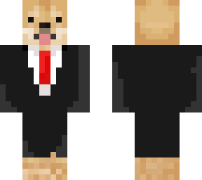 dog in suit
