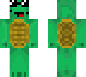 vacation turtle