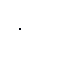 black dot