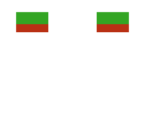 bulgarian flag head