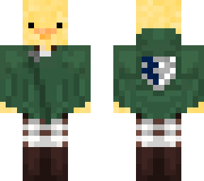 scout duck