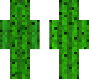 seth the cactus