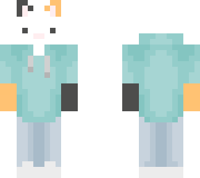 a skin for a friend