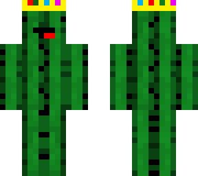cactus by seb