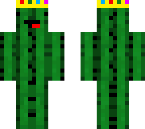 cactus by seb 2