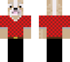 checkered shirt dog