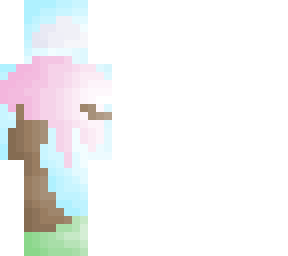 cherry blossoms
